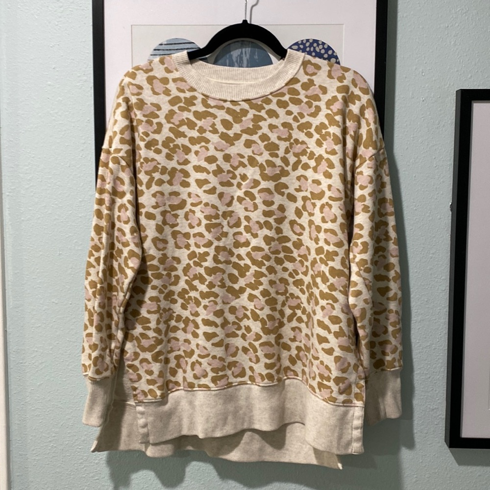Aerie Sweatshirt